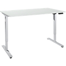 Desk, electrically height-adjustable, T-foot, W 1600 x D 800 x H 755-1255 mm, light gray/white aluminum + memory control panel, cable duct