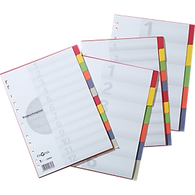 PAGNA Kartonregister mit Deckblatt, zur freien Verwendung, 6 Blätter, 6-farbig