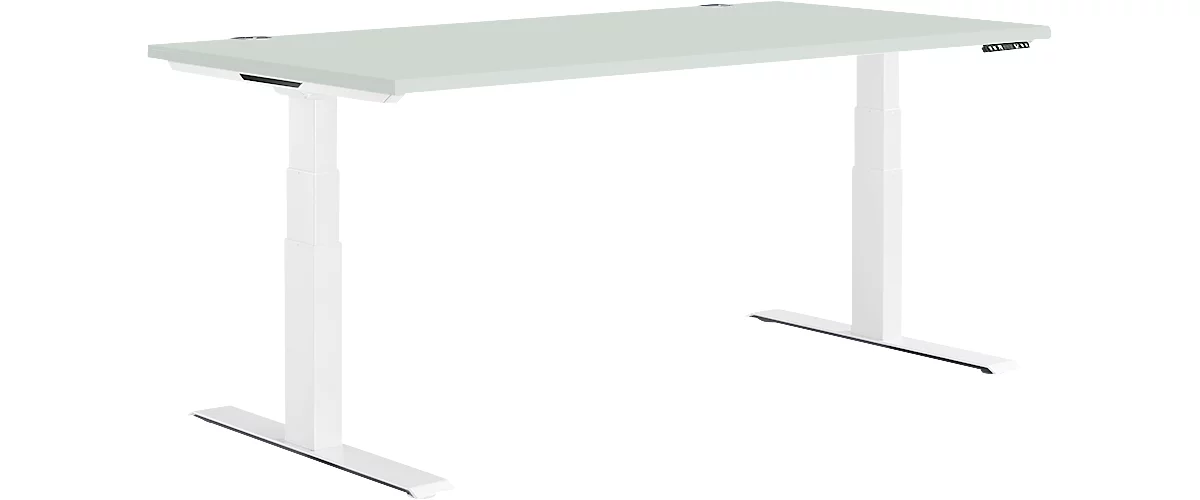 Schäfer Shop Genius Schreibtisch MODENA FLEX, elektrisch höhenverstellbar, Rechteck, T-Fuß, B 1600 x T 800 mm, lichtgrau/weiß